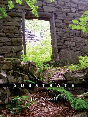 cover image of Substrate